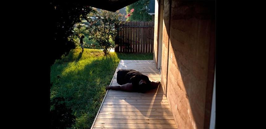 dog laying on wooden walkway